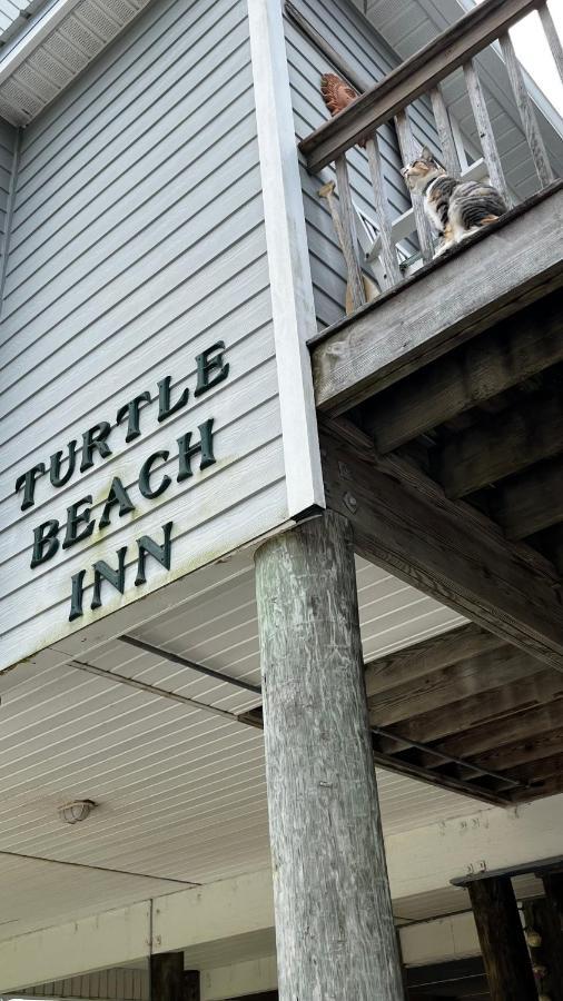 Turtle Beach Inn Indian Pass Zewnętrze zdjęcie